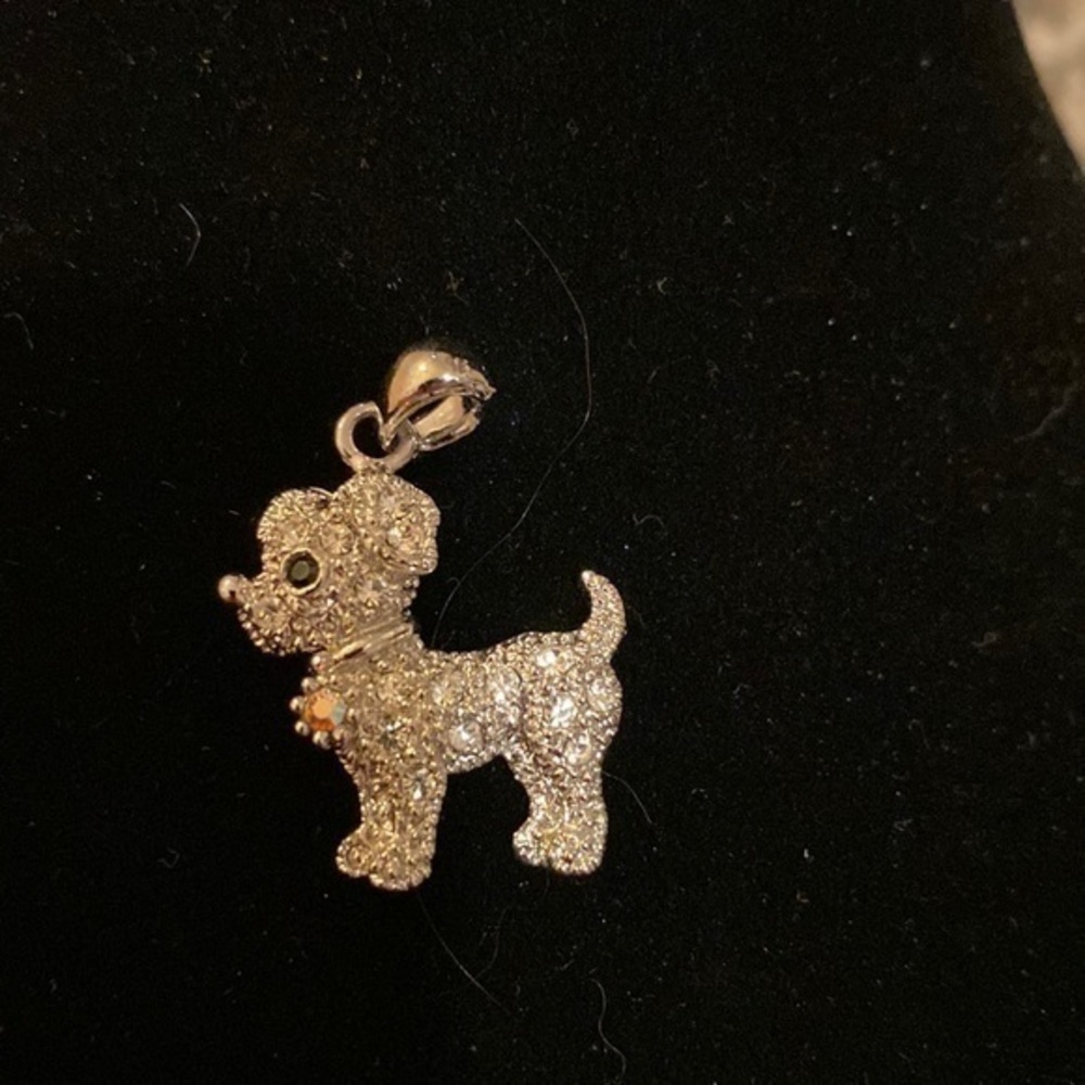 PUPPY 🐶 CHARM